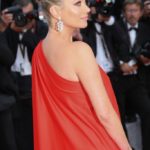 Cannes 2016 en images Les plus belles tenues