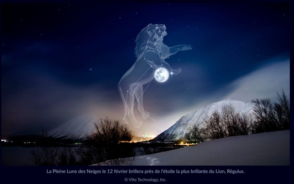 Pleine Lune en Lion du 12 Février 2025 : rayonner sa lumière et oser être soi 